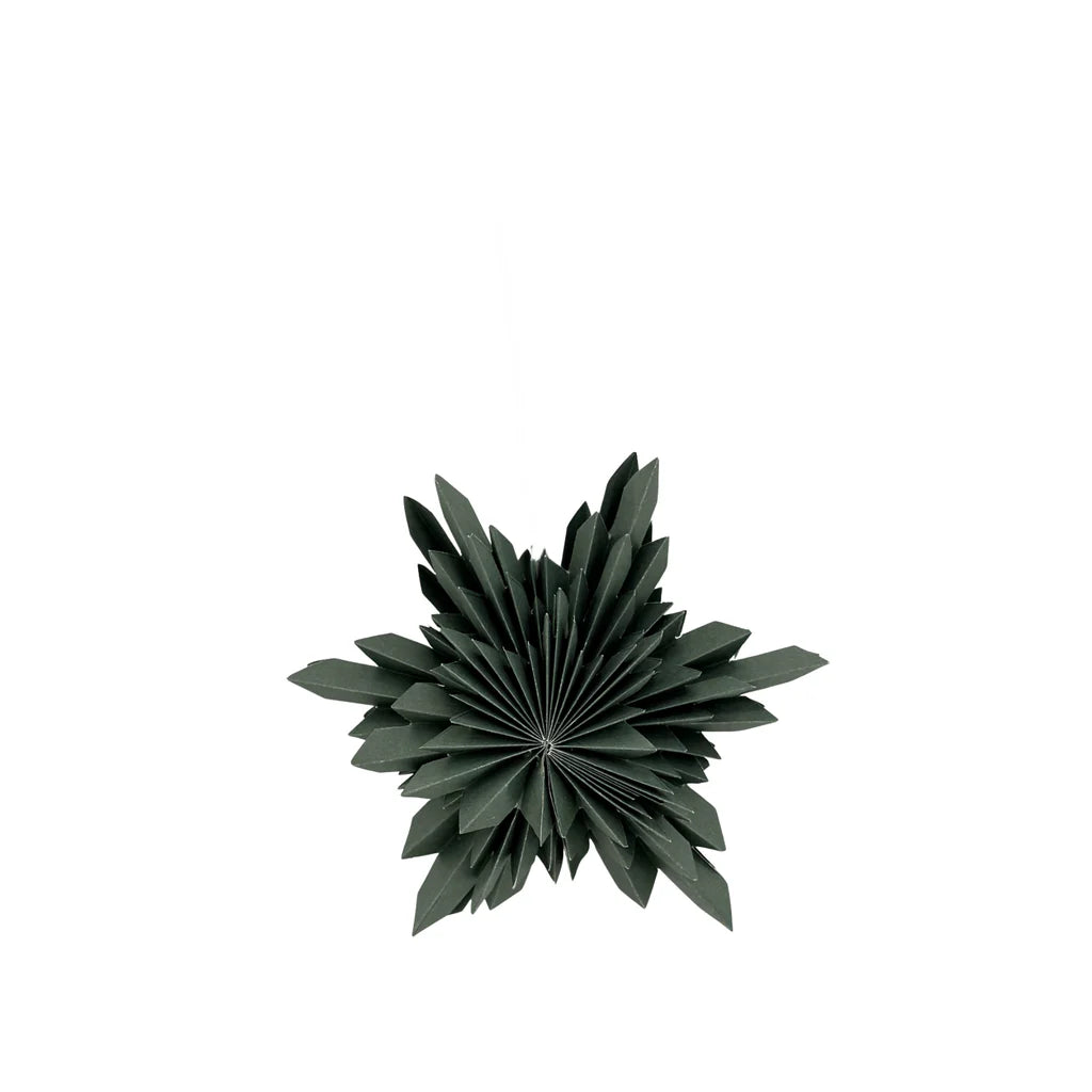 Astra Papierstern D15